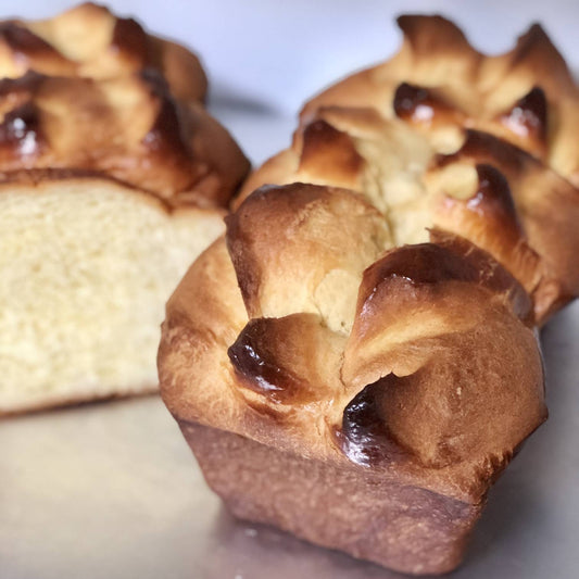 Brioche
